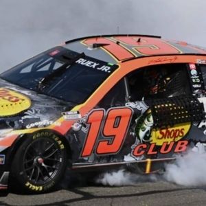 Meet your Posher, Wyatt